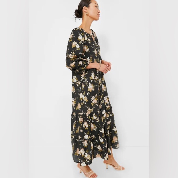 Tuckernuck Midnight Garden Lyles Dress maxi floral with belt size medium NWT - Picture 3 of 15